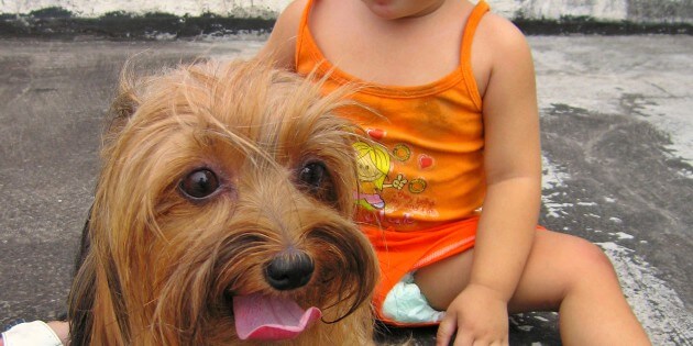 „Mama, ich will ein Hund“ – 8 Tipps die Eltern wissen sollten