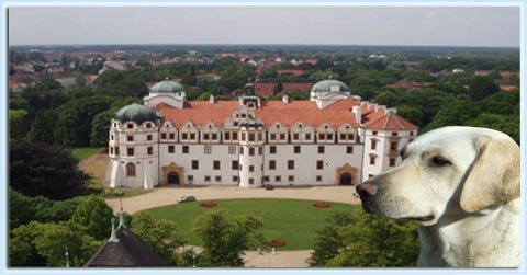 Schloss Celle