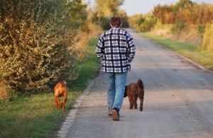 Spaziergang mit Hund