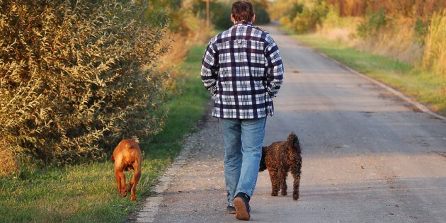 Tipp des Monats – März 2013: Spazieren gehen mit dem Hund
