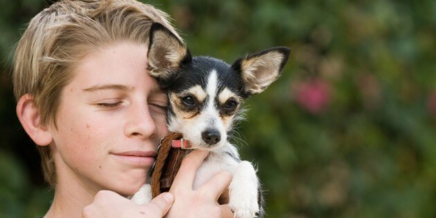 Lernen den Hund „richtig“ zu lieben – Tipps für Hundehalter