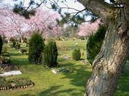 Foto vom Tierfriedhof Nord in Norderstedt