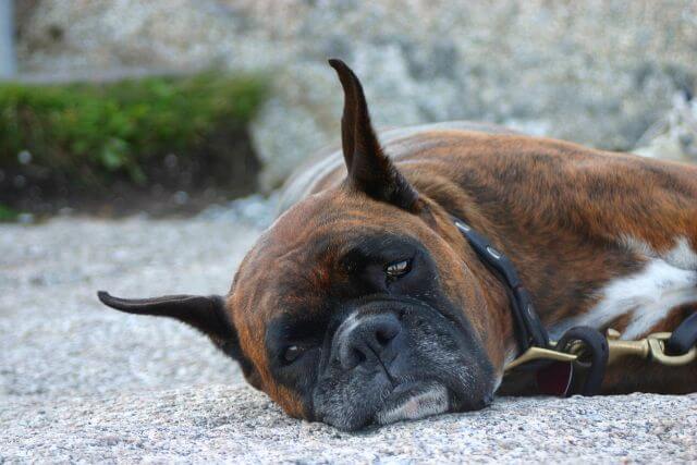 (Bildquelle: sxc.hu)