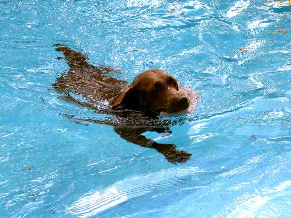 (Bildquelle: sxc.hu)