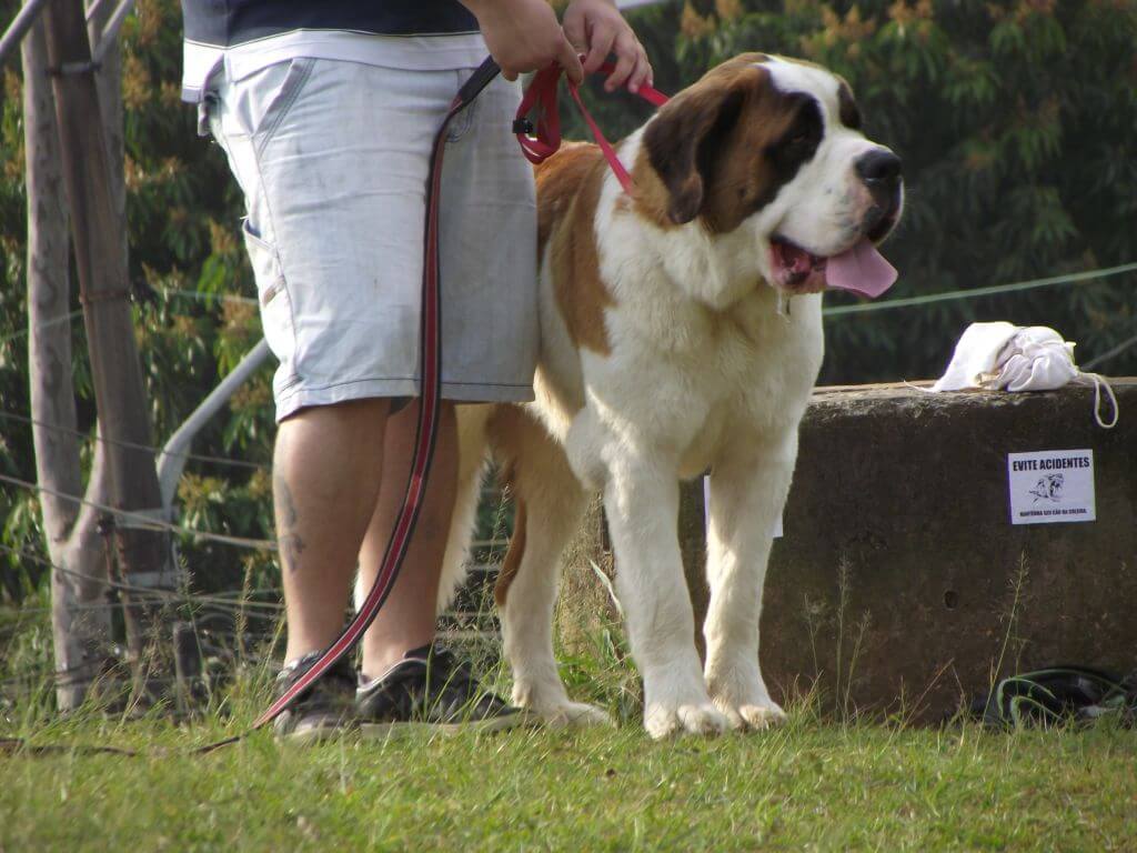 (Bild © freeimages.com)