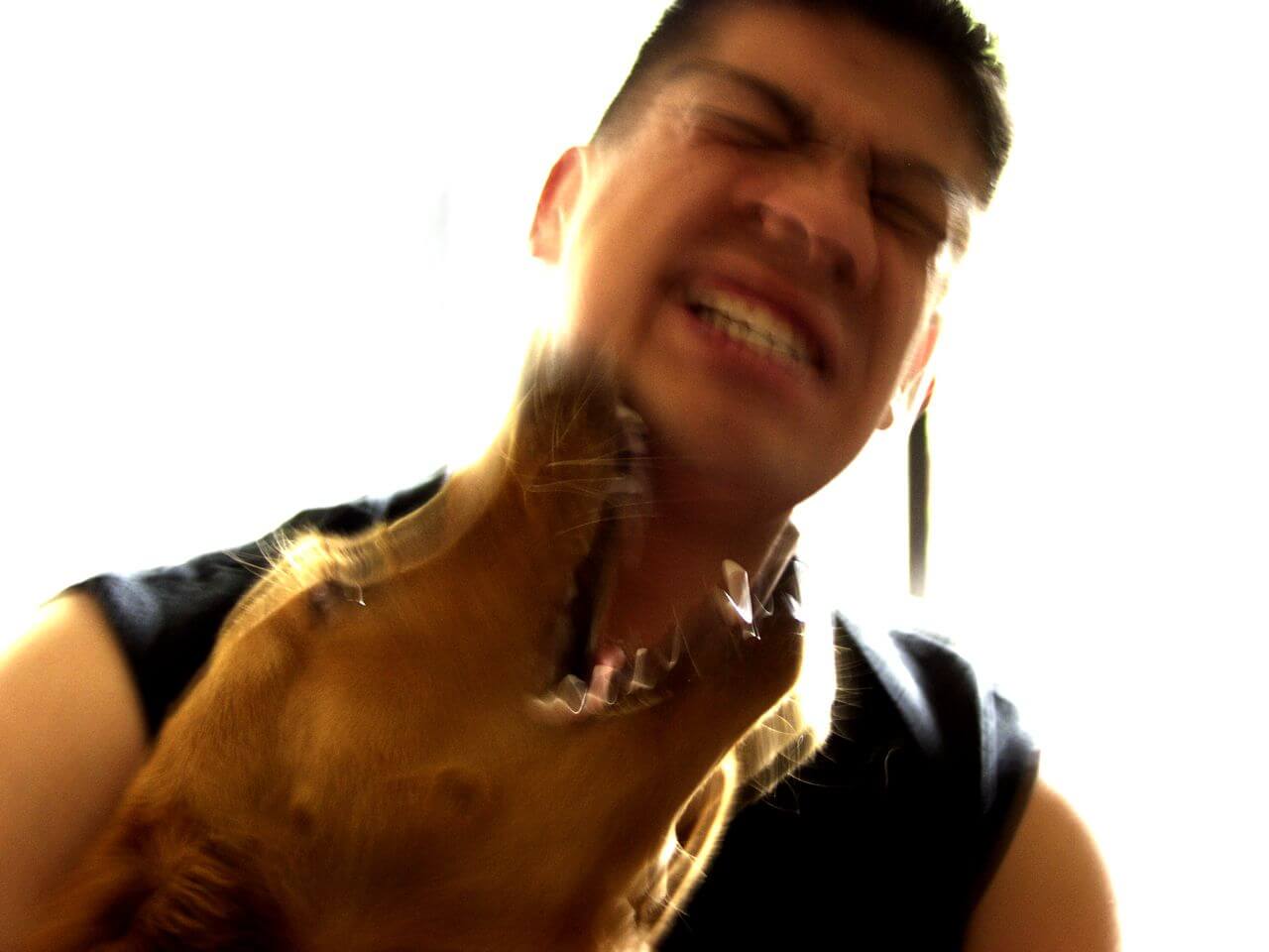 (Bild © freeimages.com)