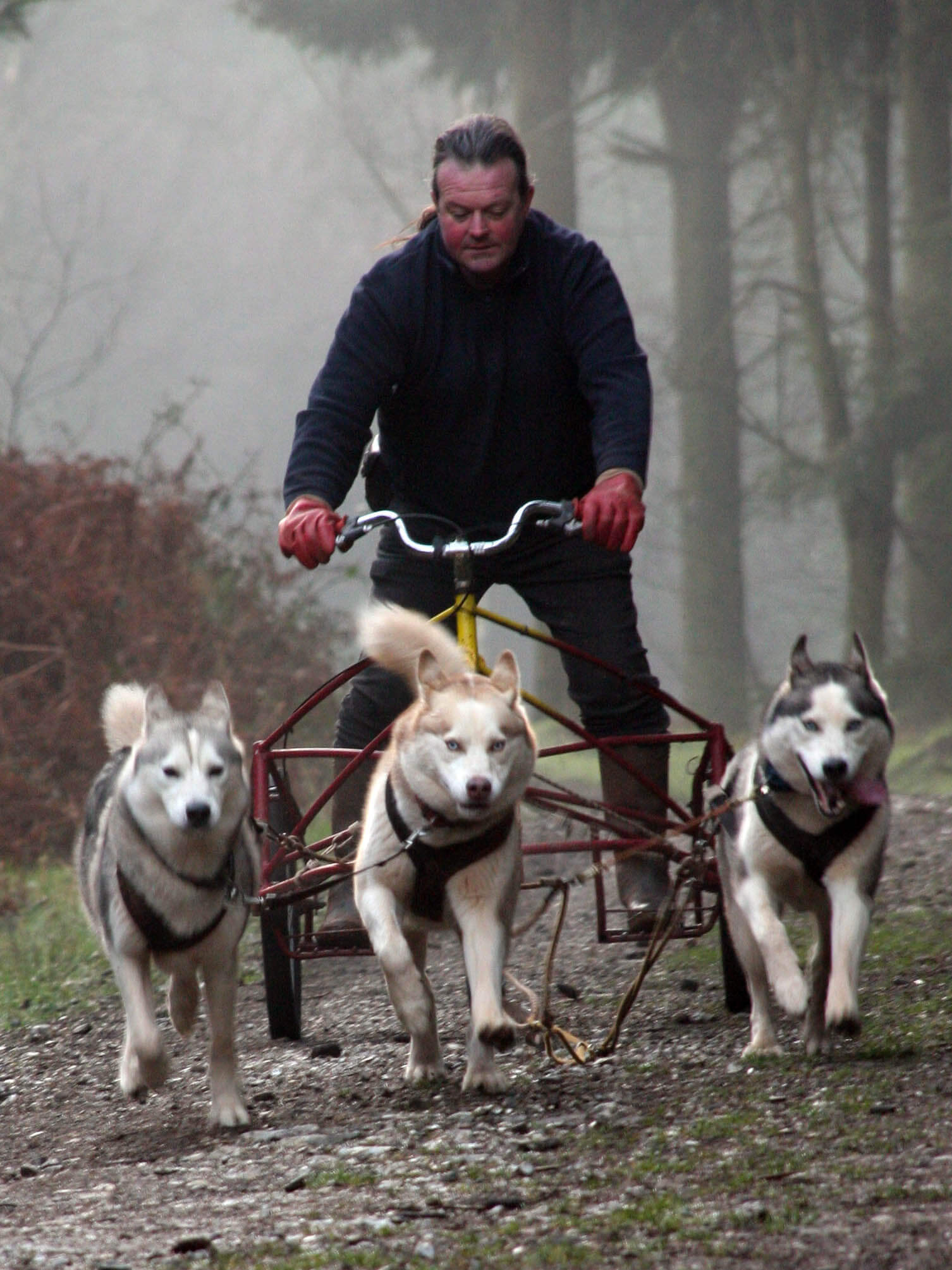 (Bild © freeimages.com)