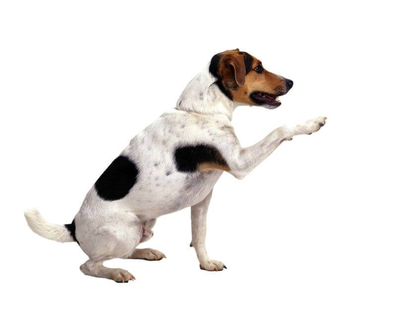 (Bild © freeimages.com)